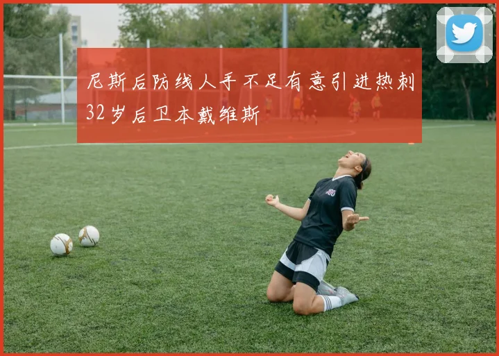 尼斯后防线人手不足有意引进热刺32岁后卫本戴维斯