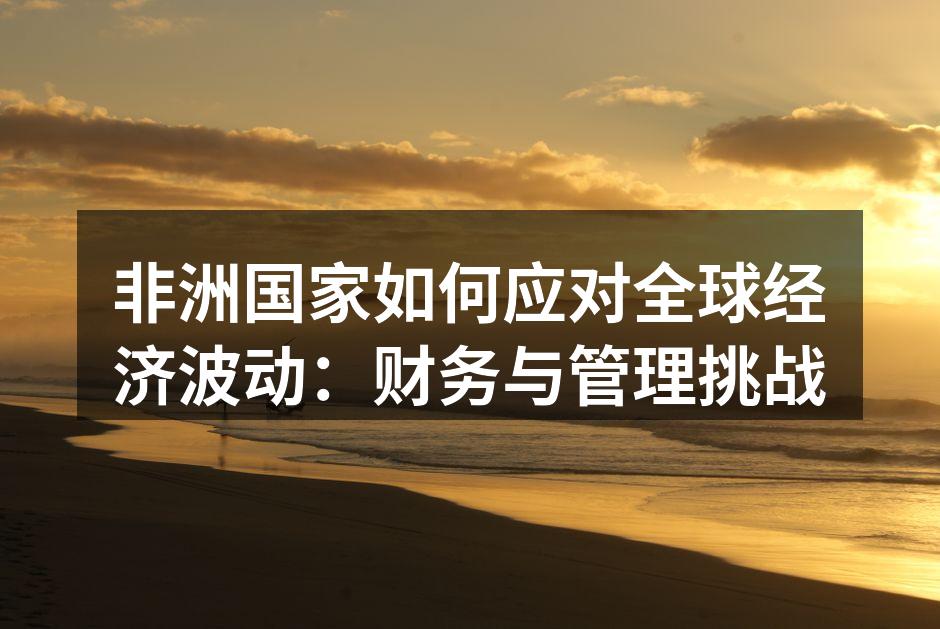 非洲国家如何应对全球经济波动：财务与管理