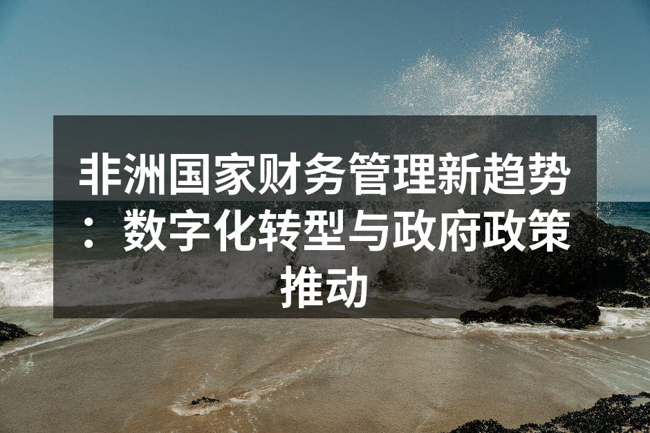 非洲国家财务管理新趋势：数字化转型与政府