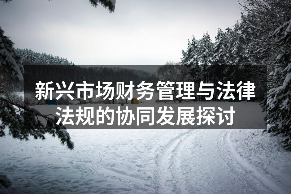 新兴市场财务管理与法律法规的协同发展探讨